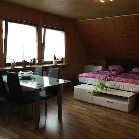 Apartmán Messe-dusseldorf Am See Ratingen